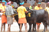 Karkala: 21 complaints and a FIR against Baradibeedu Kambala Organisers